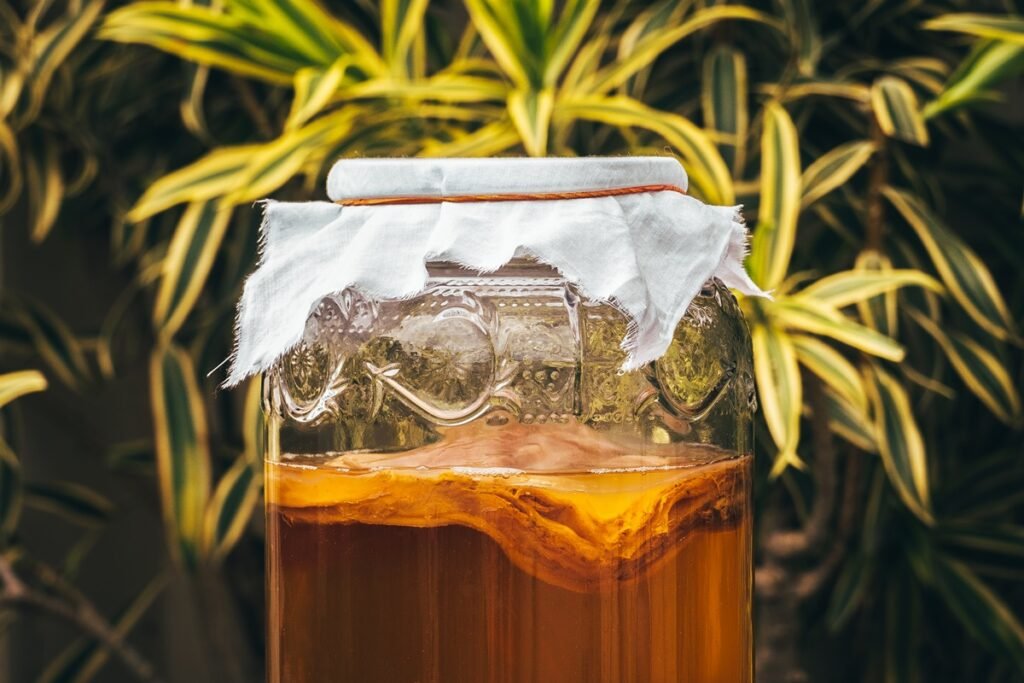 Kombucha alcoólica é sucesso nos Estados Unidos | Foto: Divulgação